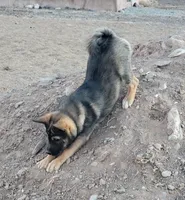 processed/e9aa35b9-fa06-4e71-832a-22b320093d99/listing/0eea2b24-7f18-4a4a-abbe-ecfba175daf2/d3d90e9c-da30-4b19-af61-824b67586e51