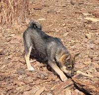 processed/e9aa35b9-fa06-4e71-832a-22b320093d99/listing/f02d7d45-843f-4cee-b582-7408ce61c375/20ef0c15-77a2-4203-a52d-2291d7f382ee