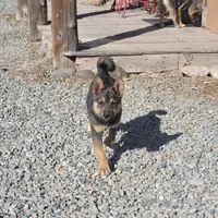 processed/e9aa35b9-fa06-4e71-832a-22b320093d99/listing/f02d7d45-843f-4cee-b582-7408ce61c375/2a2ff299-2727-4e52-8085-8b170404f5ad