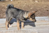 processed/e9aa35b9-fa06-4e71-832a-22b320093d99/listing/f02d7d45-843f-4cee-b582-7408ce61c375/a22f5e4b-fd06-46b1-9385-cbe47d5cc707