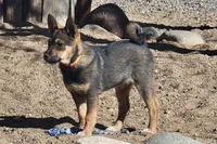 processed/e9aa35b9-fa06-4e71-832a-22b320093d99/listing/f02d7d45-843f-4cee-b582-7408ce61c375/ae1ec8b3-930d-423c-b760-f31c80546b3a