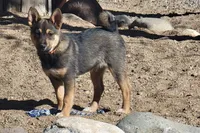 processed/e9aa35b9-fa06-4e71-832a-22b320093d99/listing/f02d7d45-843f-4cee-b582-7408ce61c375/ceded829-9b25-41c0-9837-d915e77e8c57