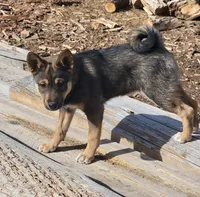 processed/e9aa35b9-fa06-4e71-832a-22b320093d99/listing/f02d7d45-843f-4cee-b582-7408ce61c375/e445f656-0b60-4e70-a263-4cfbb3d9e919