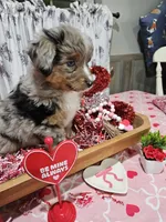 processed/e9b06e99-118f-438e-891f-dd0a6c001ba6/listing/231fb1a3-d8a0-4762-92bb-b34e5b97e3ea/014f2e9d-a079-4f5a-8e4a-80416c184d95