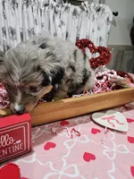 processed/e9b06e99-118f-438e-891f-dd0a6c001ba6/listing/231fb1a3-d8a0-4762-92bb-b34e5b97e3ea/399d6582-846e-44f2-83c9-c3f727dc0420