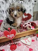 processed/e9b06e99-118f-438e-891f-dd0a6c001ba6/listing/231fb1a3-d8a0-4762-92bb-b34e5b97e3ea/3ea0a61a-bfc2-45f9-95f9-9cd4b8412acb