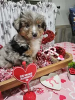 processed/e9b06e99-118f-438e-891f-dd0a6c001ba6/listing/231fb1a3-d8a0-4762-92bb-b34e5b97e3ea/435c8e9c-fd18-477a-9797-11cca0a98678