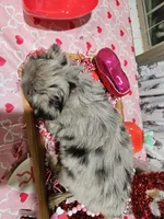 processed/e9b06e99-118f-438e-891f-dd0a6c001ba6/listing/231fb1a3-d8a0-4762-92bb-b34e5b97e3ea/4c8be6d4-1783-417e-992a-b36d9365755b