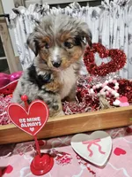 processed/e9b06e99-118f-438e-891f-dd0a6c001ba6/listing/231fb1a3-d8a0-4762-92bb-b34e5b97e3ea/7a58292a-c227-4b60-b669-fe84ea5a3071