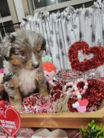 processed/e9b06e99-118f-438e-891f-dd0a6c001ba6/listing/231fb1a3-d8a0-4762-92bb-b34e5b97e3ea/9ed7a99d-2d16-414d-b3c9-2412aebe9338