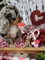 processed/e9b06e99-118f-438e-891f-dd0a6c001ba6/listing/231fb1a3-d8a0-4762-92bb-b34e5b97e3ea/cbc320c9-e97e-4c8a-8554-9cc4de160df1