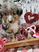 processed/e9b06e99-118f-438e-891f-dd0a6c001ba6/listing/231fb1a3-d8a0-4762-92bb-b34e5b97e3ea/f3b7ec52-709f-4a12-8867-3791e12c8c1e