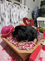 processed/e9b06e99-118f-438e-891f-dd0a6c001ba6/listing/4a471e6e-101f-46ce-b75d-9181e4bcb3a9/1d40ac00-b923-4795-9883-274b7b8e6557