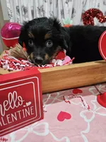 processed/e9b06e99-118f-438e-891f-dd0a6c001ba6/listing/4a471e6e-101f-46ce-b75d-9181e4bcb3a9/3ee6c738-ce36-4307-9c15-1d58af38fedd