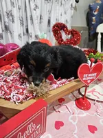 processed/e9b06e99-118f-438e-891f-dd0a6c001ba6/listing/4a471e6e-101f-46ce-b75d-9181e4bcb3a9/6dd07b7b-7f0a-4465-8fef-55c16cb701d8