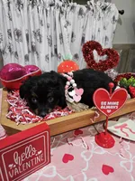 processed/e9b06e99-118f-438e-891f-dd0a6c001ba6/listing/4a471e6e-101f-46ce-b75d-9181e4bcb3a9/7600ab4c-2c7c-44a4-919a-e15c0ff411fa