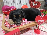 processed/e9b06e99-118f-438e-891f-dd0a6c001ba6/listing/4a471e6e-101f-46ce-b75d-9181e4bcb3a9/90207447-52a0-466c-9153-ff6268bf0d76