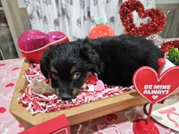 processed/e9b06e99-118f-438e-891f-dd0a6c001ba6/listing/4a471e6e-101f-46ce-b75d-9181e4bcb3a9/a52cc218-a119-4fdb-8928-c5e972164707