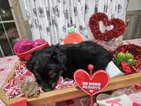 processed/e9b06e99-118f-438e-891f-dd0a6c001ba6/listing/4a471e6e-101f-46ce-b75d-9181e4bcb3a9/f627fe3f-7f0b-40df-bda4-c27f8ff1f045