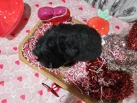 processed/e9b06e99-118f-438e-891f-dd0a6c001ba6/listing/56d58fe5-20bd-4093-8685-917b56899be0/4c4d893f-4965-4737-b499-3bd426354161