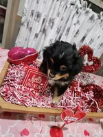 processed/e9b06e99-118f-438e-891f-dd0a6c001ba6/listing/56d58fe5-20bd-4093-8685-917b56899be0/62277528-8474-4a91-a80b-063ba586304f