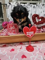 processed/e9b06e99-118f-438e-891f-dd0a6c001ba6/listing/56d58fe5-20bd-4093-8685-917b56899be0/6b27729f-fac7-4a26-ba29-38652aab347d