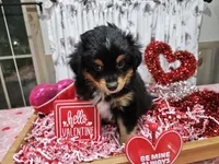 processed/e9b06e99-118f-438e-891f-dd0a6c001ba6/listing/56d58fe5-20bd-4093-8685-917b56899be0/73340b97-e509-4200-a409-974244d2780e