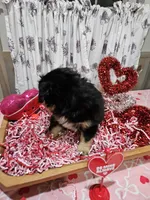 processed/e9b06e99-118f-438e-891f-dd0a6c001ba6/listing/56d58fe5-20bd-4093-8685-917b56899be0/827f6ade-9e99-434f-beba-3877cff02986