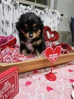 processed/e9b06e99-118f-438e-891f-dd0a6c001ba6/listing/56d58fe5-20bd-4093-8685-917b56899be0/a3535b01-9470-47cc-86e4-eec4ad55e71b