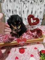 processed/e9b06e99-118f-438e-891f-dd0a6c001ba6/listing/56d58fe5-20bd-4093-8685-917b56899be0/a5d076f3-54a8-4954-8ce9-d8472be7c46c