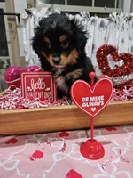 processed/e9b06e99-118f-438e-891f-dd0a6c001ba6/listing/56d58fe5-20bd-4093-8685-917b56899be0/d0c91f80-acf4-4c3f-b98c-81a3c7ec661c