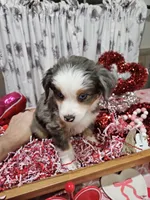 processed/e9b06e99-118f-438e-891f-dd0a6c001ba6/listing/694ec260-4c5f-432d-9f69-f3fd12d3f8b5/11796353-9af0-4899-b6ca-93de35eca6b3