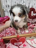 processed/e9b06e99-118f-438e-891f-dd0a6c001ba6/listing/694ec260-4c5f-432d-9f69-f3fd12d3f8b5/49b54ee3-3349-476b-9057-51572f8bbeeb