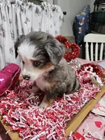 processed/e9b06e99-118f-438e-891f-dd0a6c001ba6/listing/694ec260-4c5f-432d-9f69-f3fd12d3f8b5/4fc542de-1636-4487-a12f-35c0f23f5314