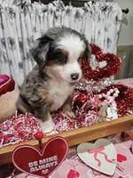 processed/e9b06e99-118f-438e-891f-dd0a6c001ba6/listing/694ec260-4c5f-432d-9f69-f3fd12d3f8b5/53c94677-a504-4833-8e15-2a99771fabfe