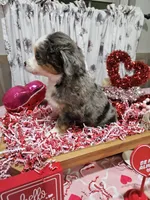 processed/e9b06e99-118f-438e-891f-dd0a6c001ba6/listing/694ec260-4c5f-432d-9f69-f3fd12d3f8b5/818dd0a9-43a8-41b0-a067-f1761be64884