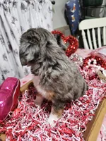 processed/e9b06e99-118f-438e-891f-dd0a6c001ba6/listing/694ec260-4c5f-432d-9f69-f3fd12d3f8b5/ab687021-5ef1-4632-9a01-cd62f265a430