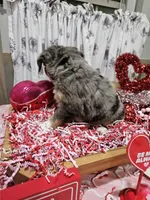 processed/e9b06e99-118f-438e-891f-dd0a6c001ba6/listing/694ec260-4c5f-432d-9f69-f3fd12d3f8b5/c924976a-d534-4074-8d34-6e2e29fcfb3d