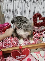 processed/e9b06e99-118f-438e-891f-dd0a6c001ba6/listing/694ec260-4c5f-432d-9f69-f3fd12d3f8b5/e4e53e9c-a26c-4056-a9e4-7ba61ada6d3d