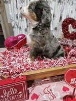 processed/e9b06e99-118f-438e-891f-dd0a6c001ba6/listing/694ec260-4c5f-432d-9f69-f3fd12d3f8b5/e71d86a7-bcc9-4ed4-a7f2-09cac9715162