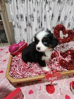 processed/e9b06e99-118f-438e-891f-dd0a6c001ba6/listing/ce0f243e-34ef-43a6-9989-aebfd7ddcb85/10e1a7b4-283e-4a83-a307-06327dc449b6