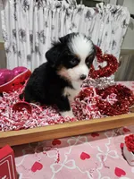 processed/e9b06e99-118f-438e-891f-dd0a6c001ba6/listing/ce0f243e-34ef-43a6-9989-aebfd7ddcb85/4e61eaaa-23f8-48df-9d3c-f3eaa33daff4