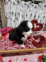 processed/e9b06e99-118f-438e-891f-dd0a6c001ba6/listing/ce0f243e-34ef-43a6-9989-aebfd7ddcb85/5cf0dd45-c0c2-4128-88de-d946ee2555a3