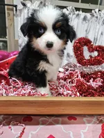 processed/e9b06e99-118f-438e-891f-dd0a6c001ba6/listing/ce0f243e-34ef-43a6-9989-aebfd7ddcb85/617edff4-c222-4fab-84e4-c9f609147e38