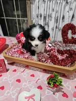 processed/e9b06e99-118f-438e-891f-dd0a6c001ba6/listing/ce0f243e-34ef-43a6-9989-aebfd7ddcb85/8df1c90e-0952-44c3-a017-67de11d3a4fe