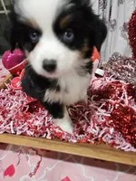 processed/e9b06e99-118f-438e-891f-dd0a6c001ba6/listing/ce0f243e-34ef-43a6-9989-aebfd7ddcb85/c3619613-d4d6-4474-be90-5a4c16af38d2