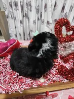 processed/e9b06e99-118f-438e-891f-dd0a6c001ba6/listing/ce0f243e-34ef-43a6-9989-aebfd7ddcb85/e02f4226-152e-4d56-b022-6b003526bb8e