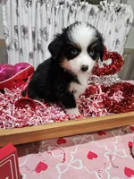 processed/e9b06e99-118f-438e-891f-dd0a6c001ba6/listing/ce0f243e-34ef-43a6-9989-aebfd7ddcb85/f517c725-fb60-49bb-94b5-98fd3662c8c6