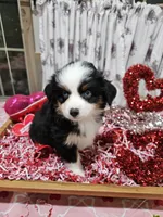 processed/e9b06e99-118f-438e-891f-dd0a6c001ba6/listing/ce0f243e-34ef-43a6-9989-aebfd7ddcb85/ff5862ad-94a5-4587-a54e-2137f3676997