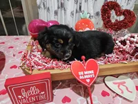 processed/e9b06e99-118f-438e-891f-dd0a6c001ba6/listing/f4644528-436b-43c9-88b9-fdc6270d9011/35a1831a-d6ac-43e2-88a5-92a510bfd57b